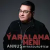 Ýaralama meni