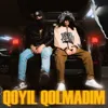 Qoyil Qolmadim