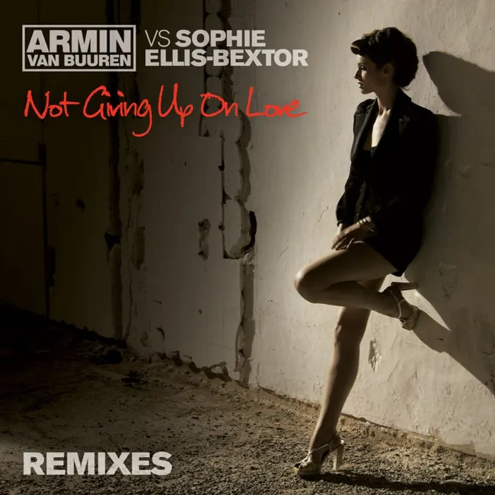 Not Giving up on Love