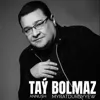 Taý bolmaz
