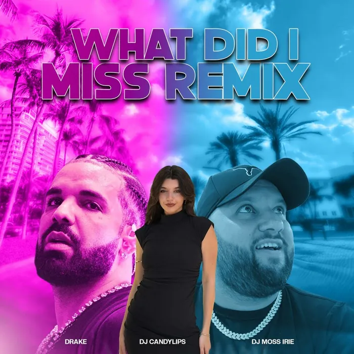 What Did I Miss Official Remix