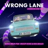 Wrong Lane
