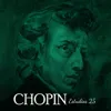 FEDERICO CHOPIN Doce estudios Op 25 - 14.wav FEDERICO CHOPIN Doce estudios Op 25 - 14.wav