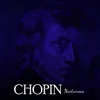 Chopin Complete Nocturnes (Brigitte Engerer) - 13.wav Chopin Complete Nocturnes (Brigitte Engerer) - 13.wav