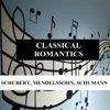 Symphony No. 8 in B Minor, D. 759: I. Allegro moderato Symphony No. 8 in B Minor, D. 759: I. Allegro moderato