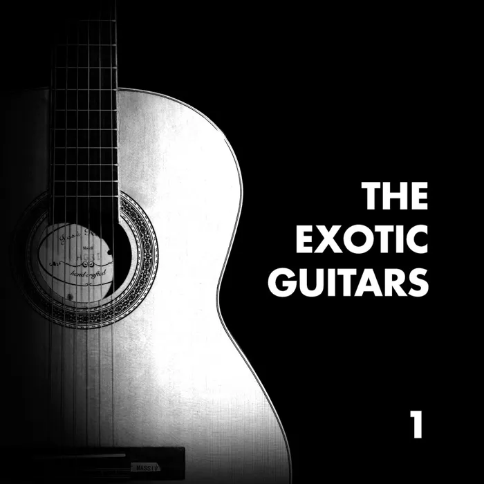 The Exotic Guitars 1