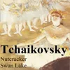 Swan Lake, Op. 20a: III. Danse des cygnes Swan Lake, Op. 20a: III. Danse des cygnes