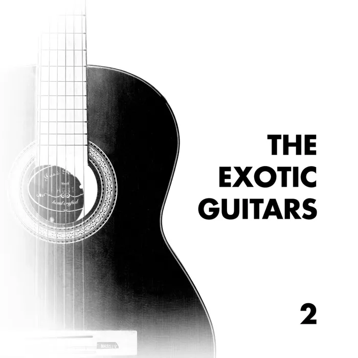 The Exotic Guitars 2