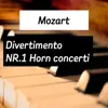Concerto For Horn And Orchestra n4 e flat major kv 495 Concerto For Horn And Orchestra n4 e flat major kv 495