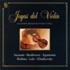 Aires Gitanos, Op. 20/1