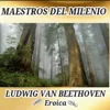 Symphony No. 3 in E-Flat Major, Op. 55: I. Allegro con brio