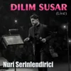 Dilim Susar