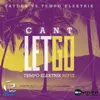 Can't Let Go (Faydee Vs Tempo Elektrik)