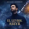 El leybik assyr