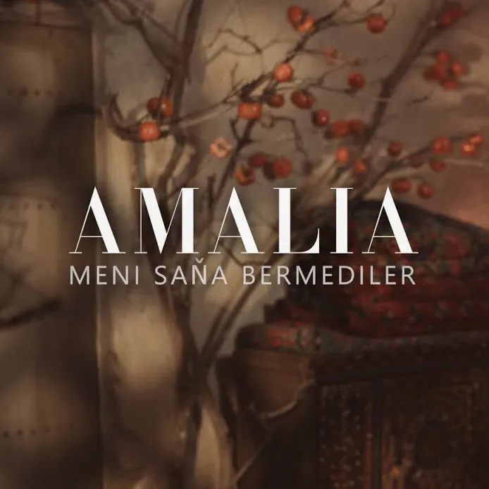 Meni Saňa bermediler