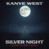 Silver night (THESHAMANIZM RADIO REMIX)