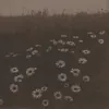 Весна (feat. Ollane)