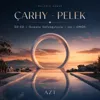 Çarhy-Pelek (Dj ICE & Omos; Dj AZT Re-edit)