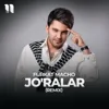 Jo'ralar