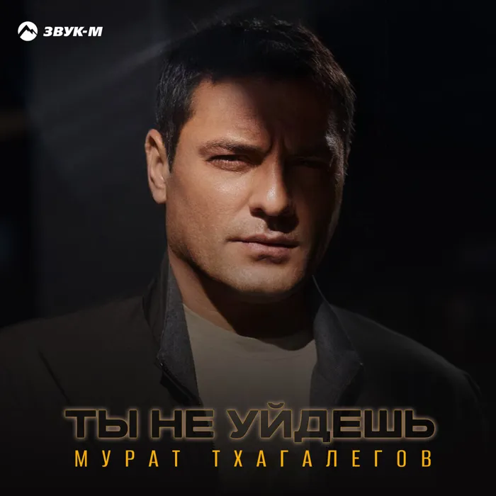 Ты не уйдешь