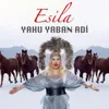 Yahu Yaban Adi