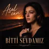 Bitti Sevdamız