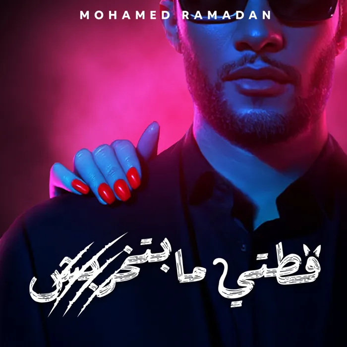 قطتي مابتخربش