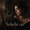 Sebebi Var