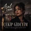 Çekip Gideyim