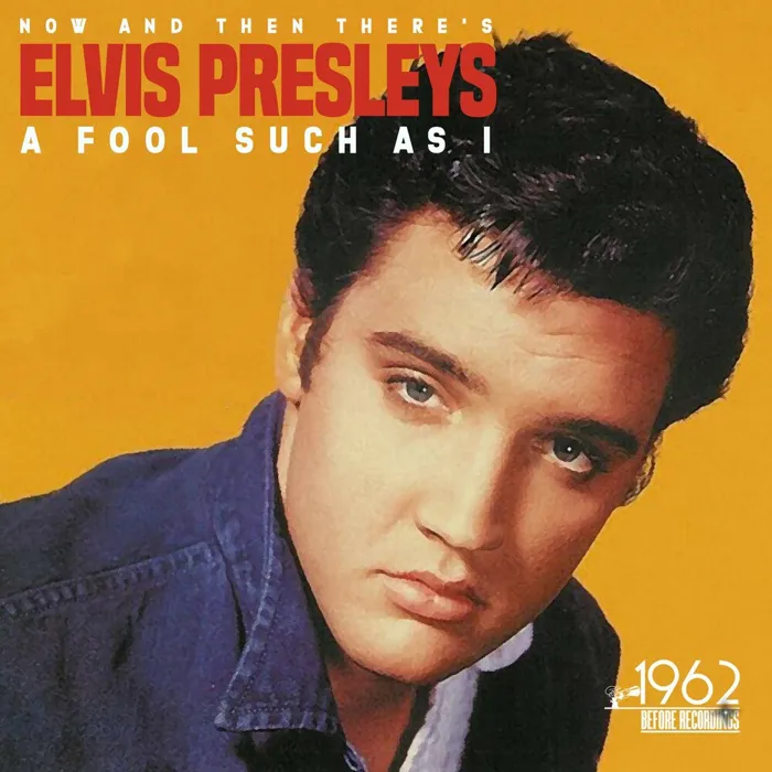 (Now and Then There's) a Fool Such as I