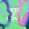 Feel My Love