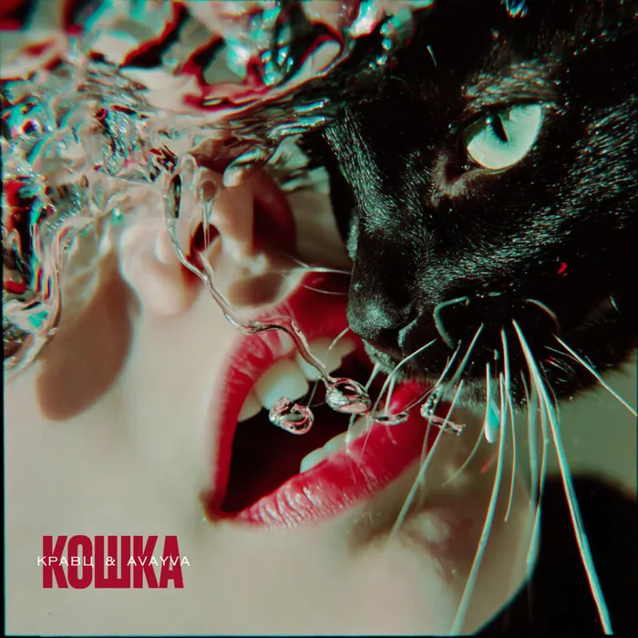 Кошка
