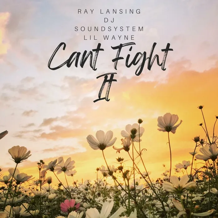 Can’t Fight It