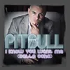 I Know You Want Me [Calle Ocho]