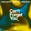 Can’t Forget You