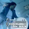 Ben Sana Hayran (Toycular)