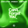 Can’t Forget You