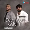 Sevmeye Geldim