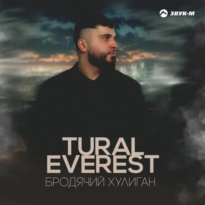 Бродячий хулиган