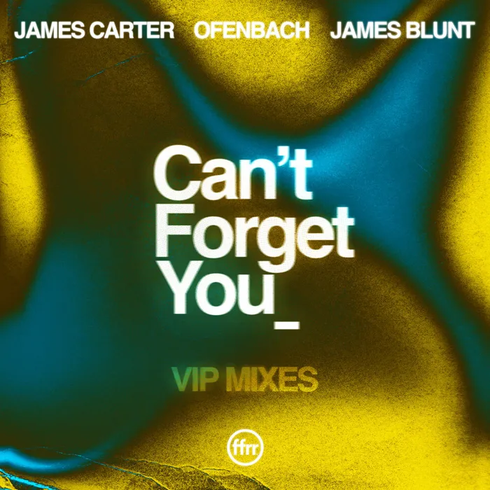 Can’t Forget You