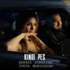 Kinoi pes