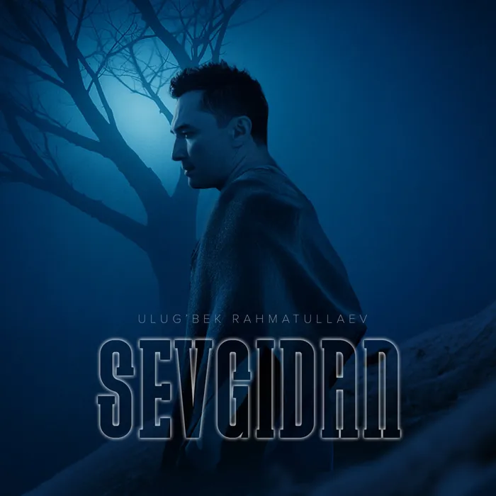 Sevgidan