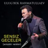 Sensiz geceler