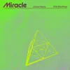 Miracle (with Ellie Goulding)