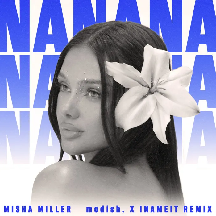 Hey NaNaNa