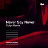 Never Say Never