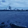 To Be Free