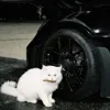 Sultan (Slowed)