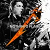Moth Into Flame