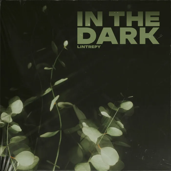 In the Dark